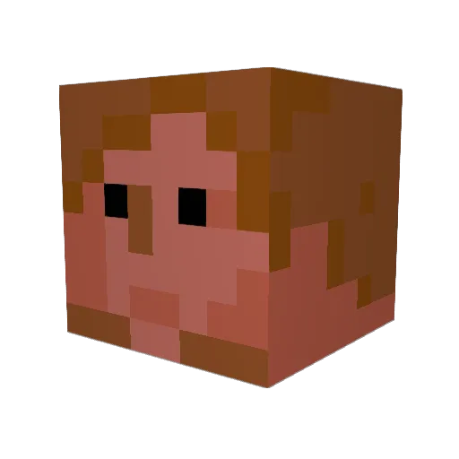 Holister95 Minecraft avatar head, 3D render