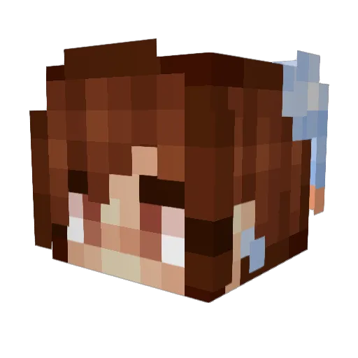 Hollanaman Minecraft avatar head, 3D render