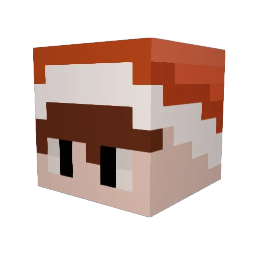 HollandHallWhy Minecraft avatar head, 3D render