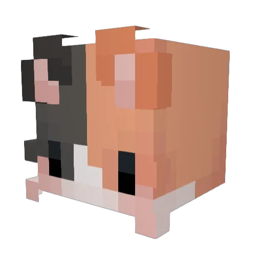 HollieWindbloom Minecraft avatar head, 3D render