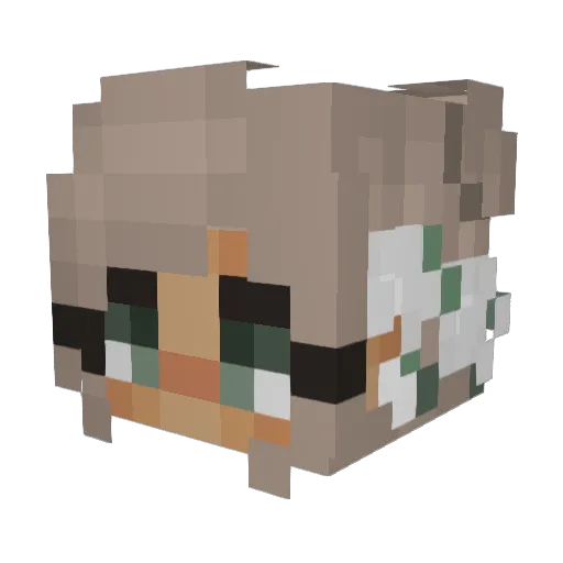 Hollietay Minecraft avatar head, 3D render