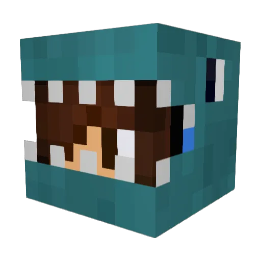 Hollis135YT Minecraft avatar head, 3D render