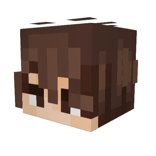 HollowFox13 Minecraft avatar head, 3D render