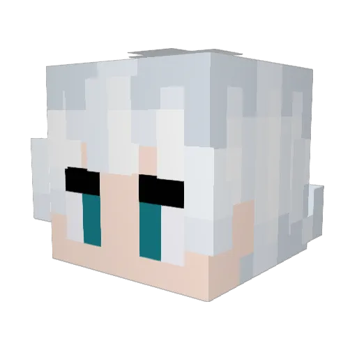 HollowKnight00 Minecraft avatar head, 3D render