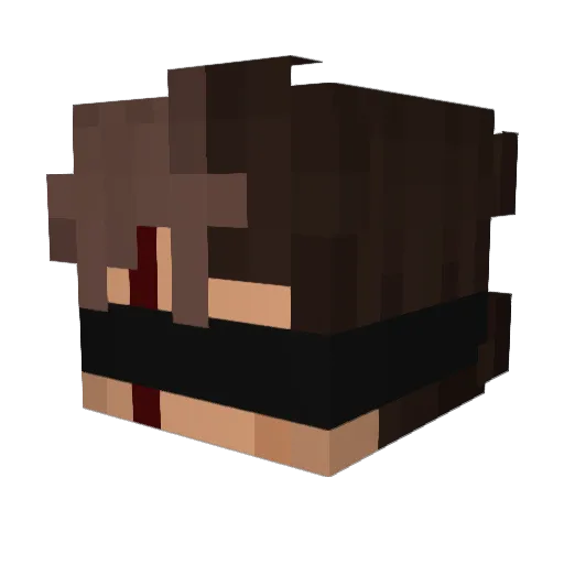 HollowKnight1021 Minecraft avatar head, 3D render