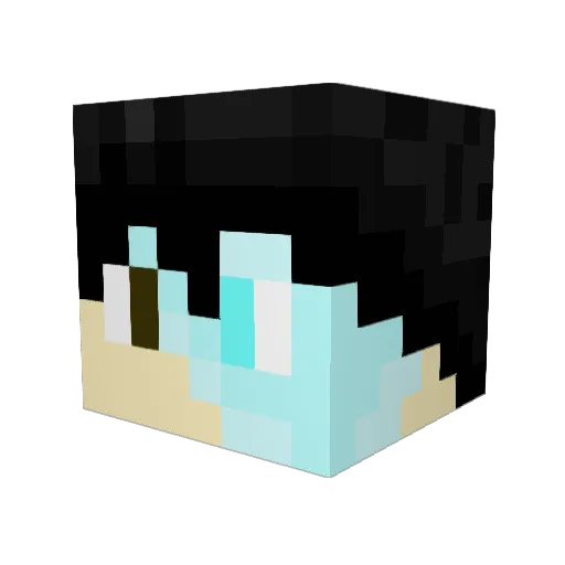 Hollow_Tempest Minecraft avatar head, 3D render