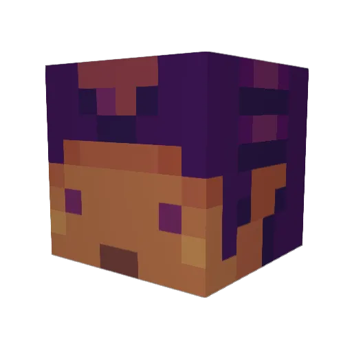 HollowedRaven Minecraft avatar head, 3D render