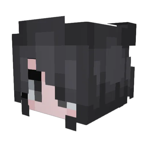 HollowerTen Minecraft avatar head, 3D render