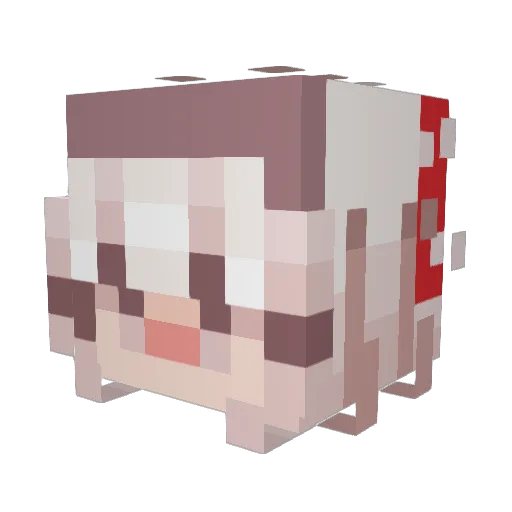HollyMeow1 Minecraft avatar head, 3D render