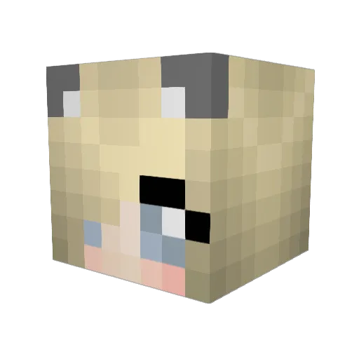 HollyRenee9 Minecraft avatar head, 3D render
