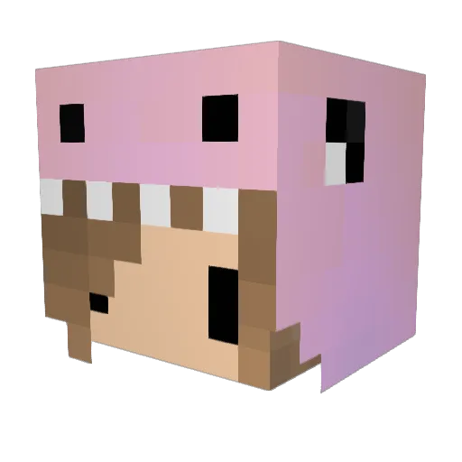 Holly_Trix Minecraft avatar head, 3D render