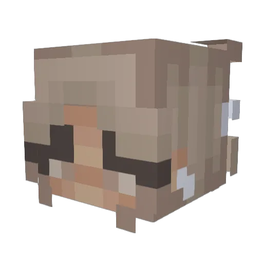 Hollyphen Minecraft avatar head, 3D render