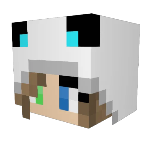 Hollystar5 Minecraft avatar head, 3D render
