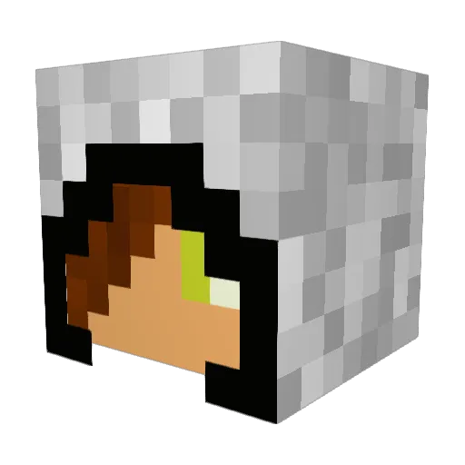 Hollywood240 Minecraft avatar head, 3D render