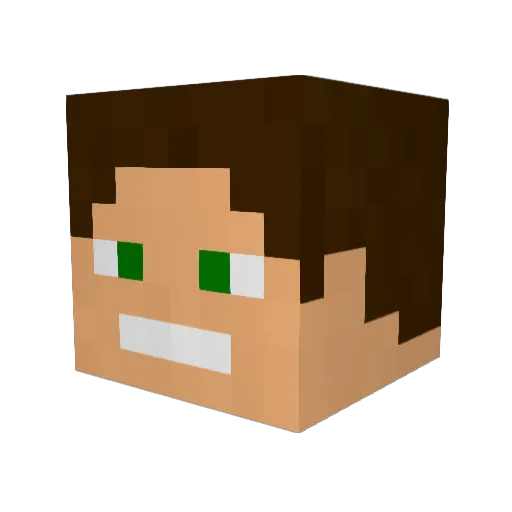 Hollywood974 Minecraft avatar head, 3D render