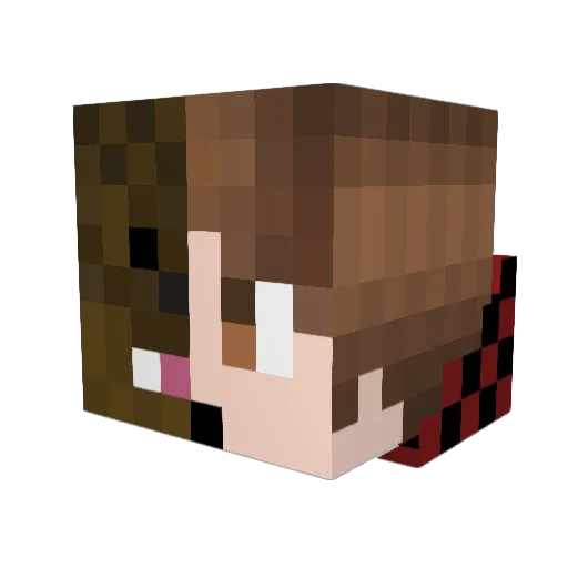 HollywoodHaydn Minecraft avatar head, 3D render