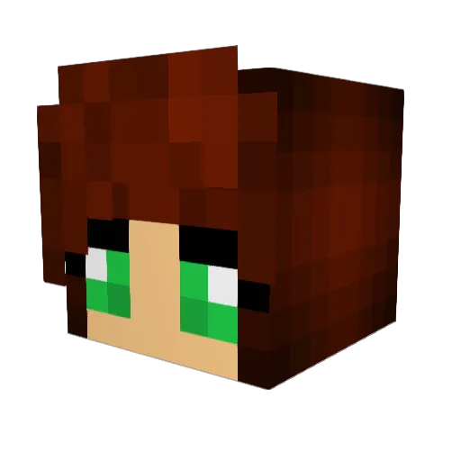 Hollywood_17 Minecraft avatar head, 3D render