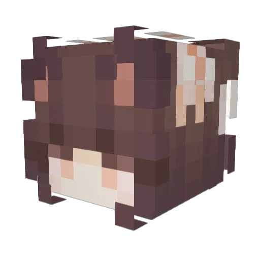 Holonay Minecraft avatar head, 3D render