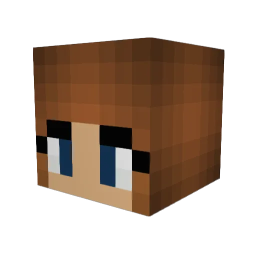 Hols1001 Minecraft avatar head, 3D render