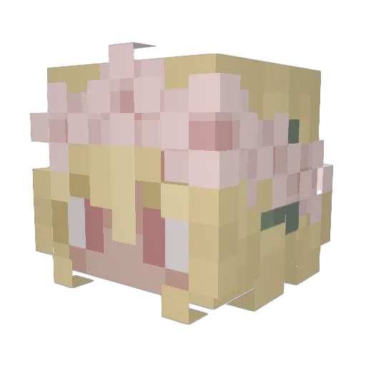 HolsJade29 Minecraft avatar head, 3D render