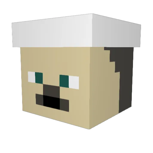 Holtoi Minecraft avatar head, 3D render