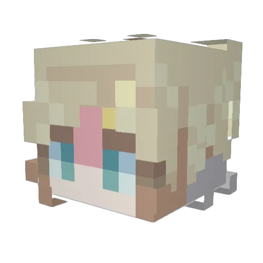 Holtzendorff Minecraft avatar head, 3D render