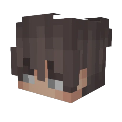 Holy67gonnen67 Minecraft avatar head, 3D render
