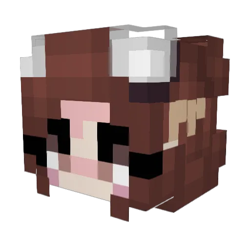 HolyAubs Minecraft avatar head, 3D render