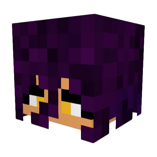 HolyBananaz707 Minecraft avatar head, 3D render