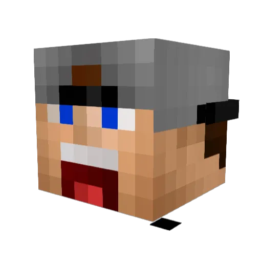 HolyBlobFish1 Minecraft avatar head, 3D render
