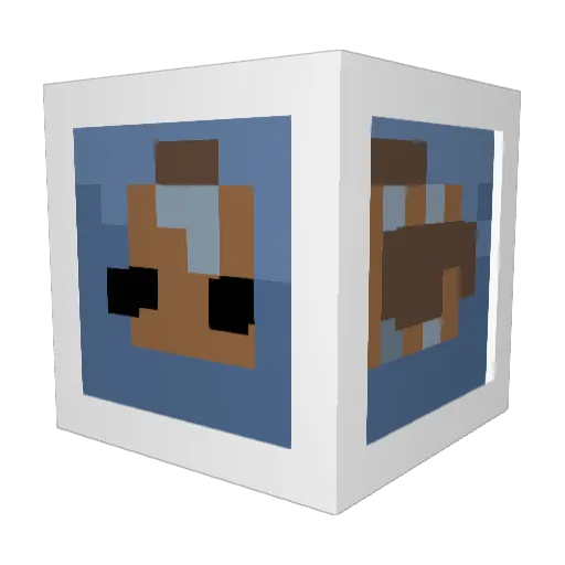 HolyCarp00 Minecraft avatar head, 3D render