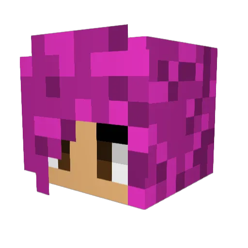 HolyChips Minecraft avatar head, 3D render