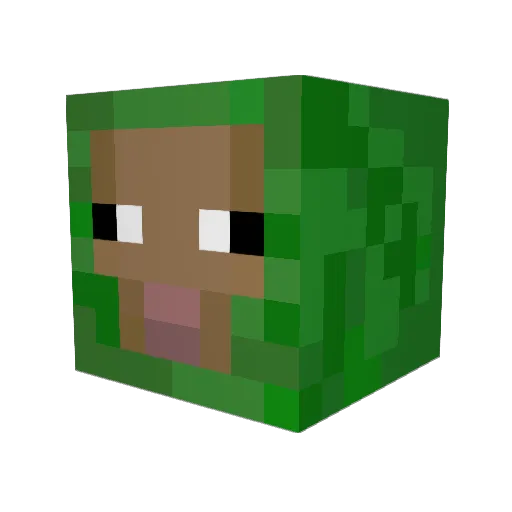 HolyCrispyChips Minecraft avatar head, 3D render