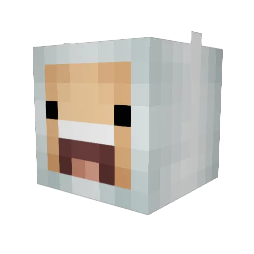 HolyGuacamola Minecraft avatar head, 3D render