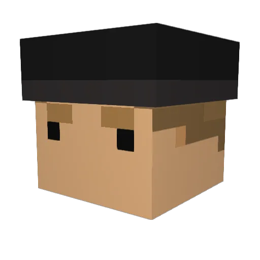 HolyKow Minecraft avatar head, 3D render