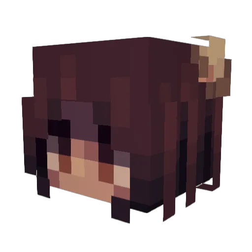 HolyPupperRi Minecraft avatar head, 3D render