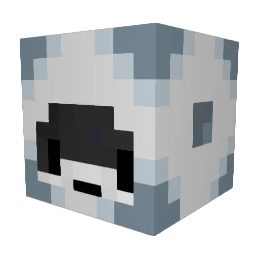 HolyRakoon Minecraft avatar head, 3D render