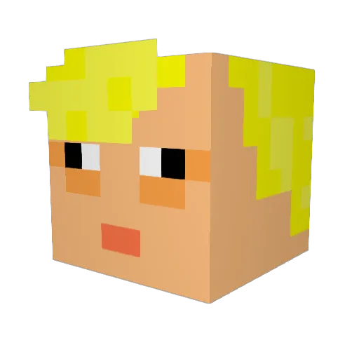 HolyShado Minecraft avatar head, 3D render