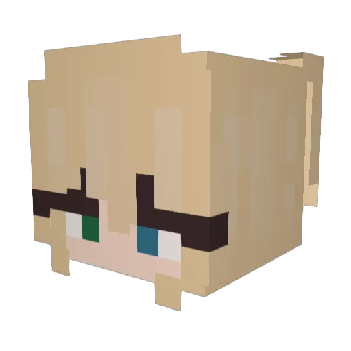 HolySherpa3878 Minecraft avatar head, 3D render
