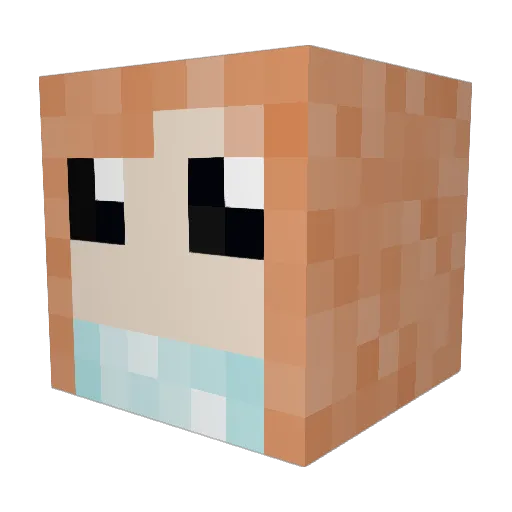 HolySquashMan Minecraft avatar head, 3D render