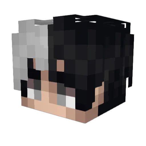 HolySteppin Minecraft avatar head, 3D render