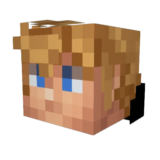 HolyTrinitySchol Minecraft avatar head, 3D render
