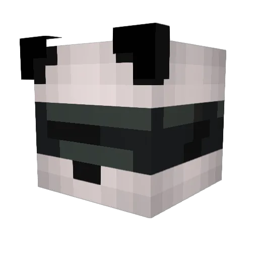 HolyWater37 Minecraft avatar head, 3D render