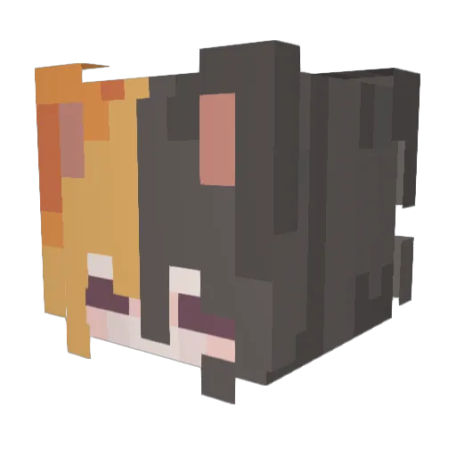 HolyWitchcraft Minecraft avatar head, 3D render