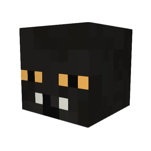 Holy_696 Minecraft avatar head, 3D render