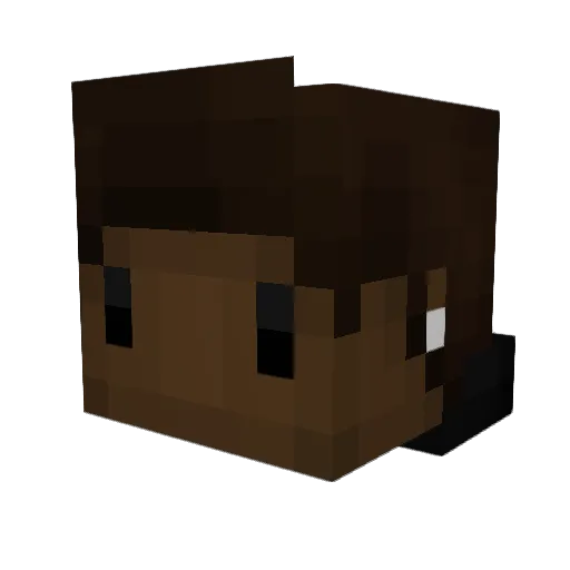 Holy_Asian_ Minecraft avatar head, 3D render
