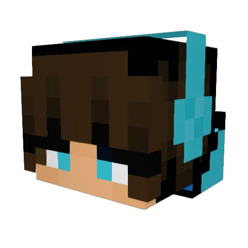 Holycowasheep Minecraft avatar head, 3D render