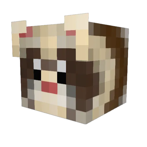 Holyfret Minecraft avatar head, 3D render