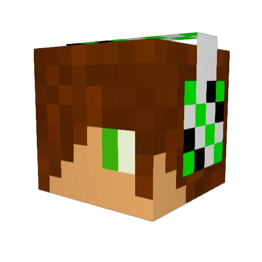 Holyherpaderp Minecraft avatar head, 3D render