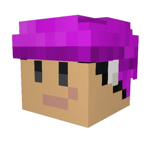 HolzTyp Minecraft avatar head, 3D render